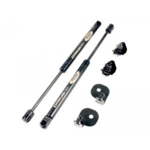 FORD MUSTANG 2015-2022 VÉRINS DE CAPOT - Ford Performance Parts Hood Lift Shocks FORD PERFORMANCE M-16826-MA