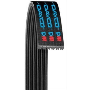 FORD MUSTANG 2012-2014 V8 330 355 SHELBY GT500 COURROIE D'ACCESSOIRES DAYCO Poly Rib Serpentine Belts 5060845