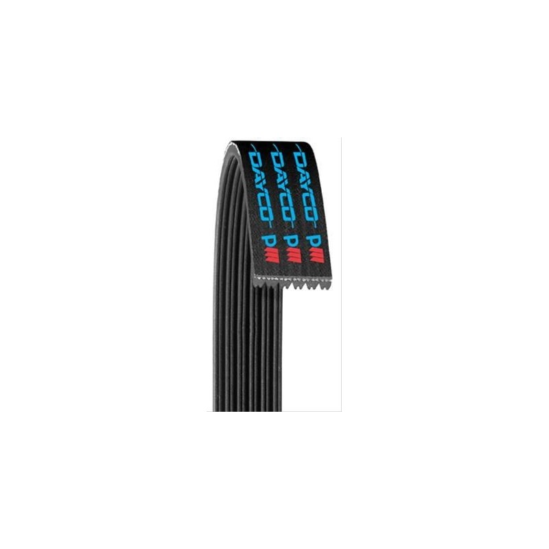 FORD MUSTANG 2012-2014 V8 330 355 SHELBY GT500 COURROIE D'ACCESSOIRES DAYCO Poly Rib Serpentine Belts 5060845